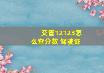 交管12123怎么查分数 驾驶证